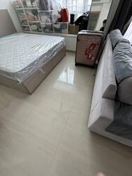 D'Lotus (D12), Apartment #552927101